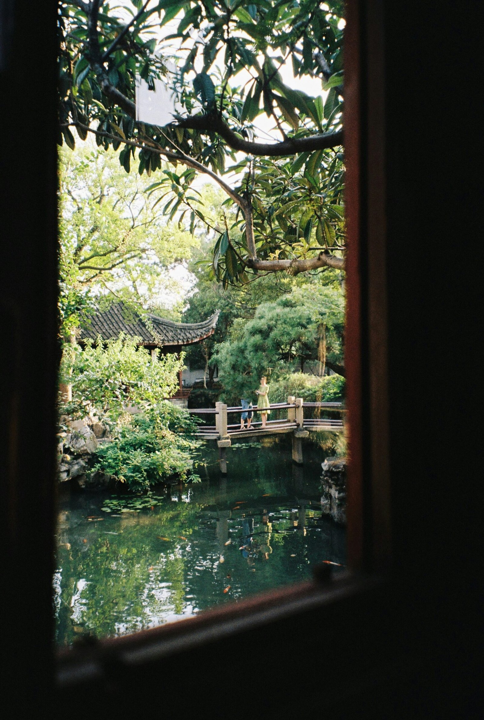 janice liao 0ozl mo3ncm unsplash