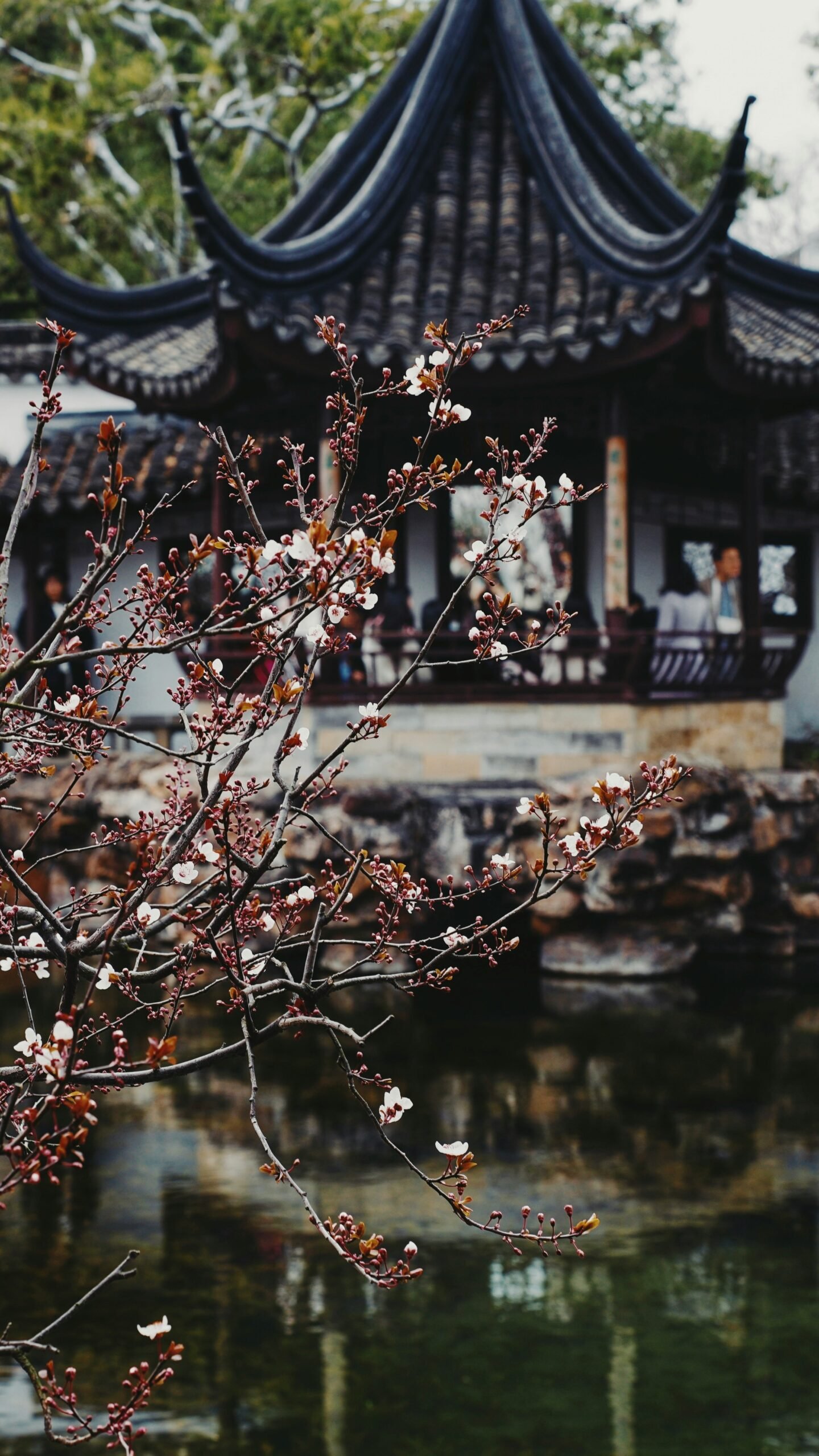 vida huang ua37tufa9as unsplash